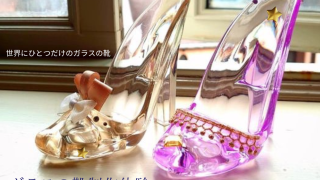 7b445b3a984231fc05e9602e6449a2