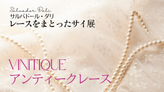 レースをまとったサイ展 アンティークレースの販売 | 河口湖音楽と森の